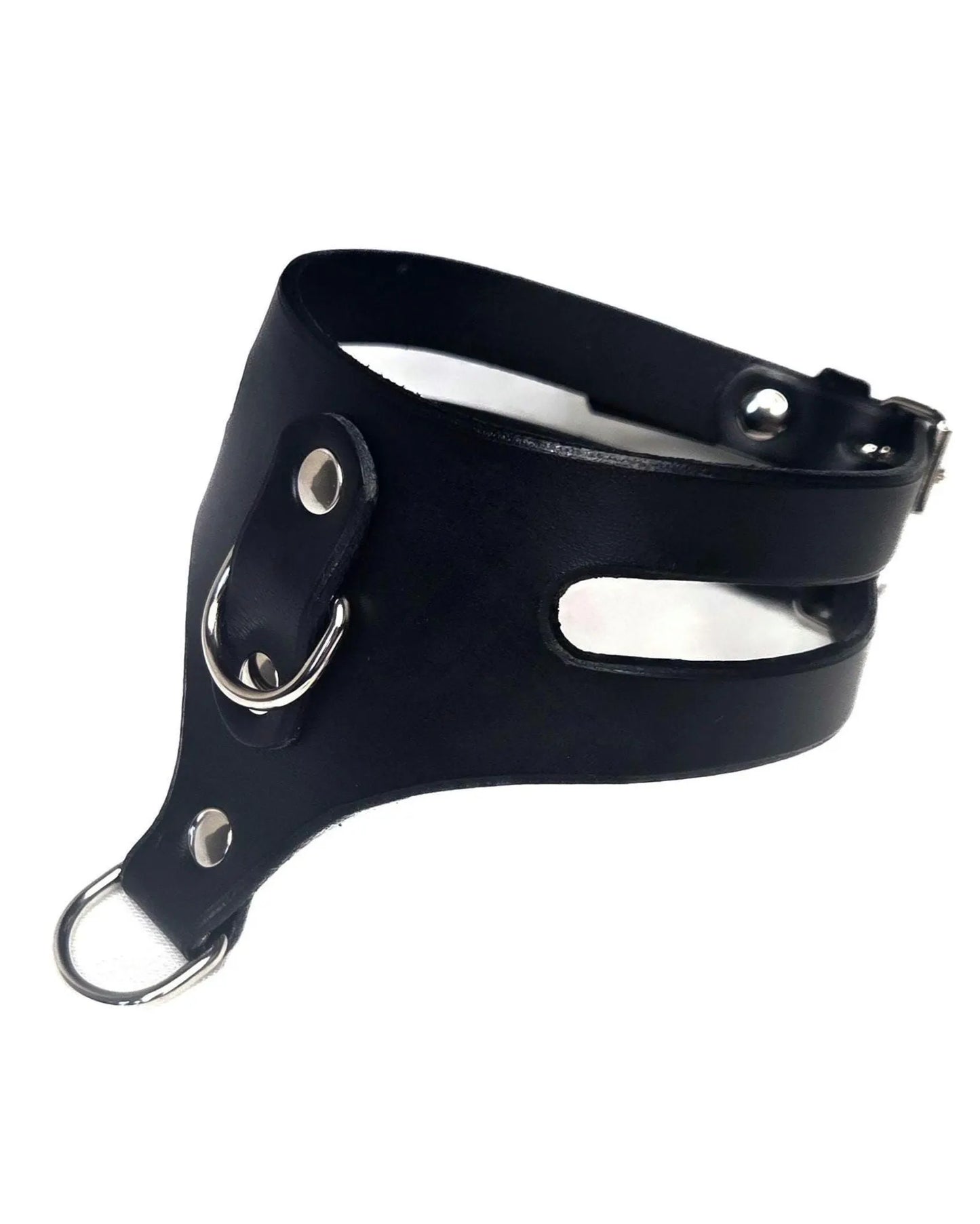 Doube D-ring cage collar