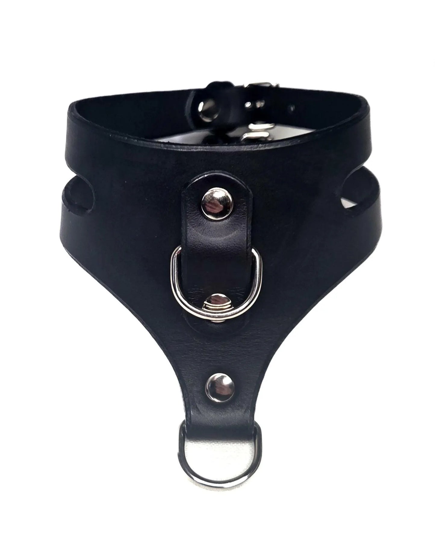 Doube D-ring cage collar