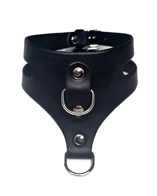Doube D-ring cage collar